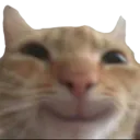 swaghappy