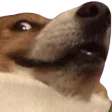 heheheFLOP
