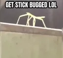 GetStickBuggedLol