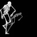 Skeleton_78
