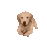 doggoArrive