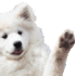 waveBoyee Discord emoji