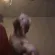 ferret