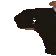 wideputin1