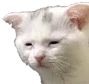 sad