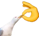 shut