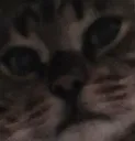 doomW