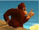 DongThiccKong