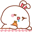 bunDrool