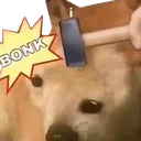 bonk