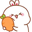 bunSnugglecarrot bunSnugglecarrot