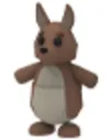 kangroo