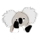 jinthekoala