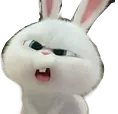 r_hein