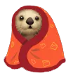 cozyotter
