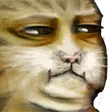 sinqWTF sinqWTF