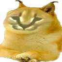 SCfloppaDOGE