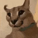 SCfloppatwitch
