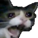 NOOOOOOOO