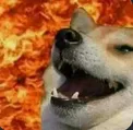 hellKEK