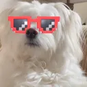 emoji_5