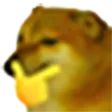 Pbs_Hmnm