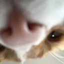 CE_UpsideDownLook CE_UpsideDownLook