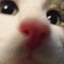 CE_Looking1 CE_Looking1