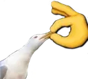 Shut