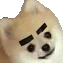 eyebrowwiggle