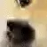 4_doge 4_doge