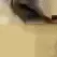 7_doge 7_doge