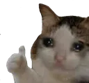 Sad Cat Thumbs Up Sad_Cat_Thumbs_Up Discord Emoji
