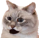 poggest