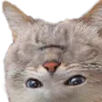 upsidesmilest