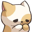 catdisappointedkitty