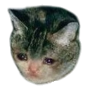 catsadboi Discord emoji