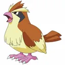 pidgey