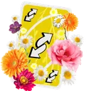 FloraUno FloraUno