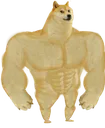 doge_m_strong