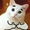 catsdoubleup catsdoubleup