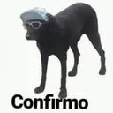WFM_Confirmo