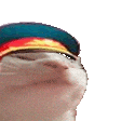 catcomradevibe Discord Emoji