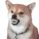 CS_Dog_Angry CS_Dog_Angry