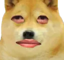 WeirdPoge WeirdPoge