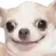 chiwawa