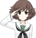 salute salute