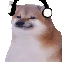 C1_cheemsFATjam