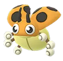 Ledybashiny Ledybashiny