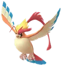 MegaPidgeot